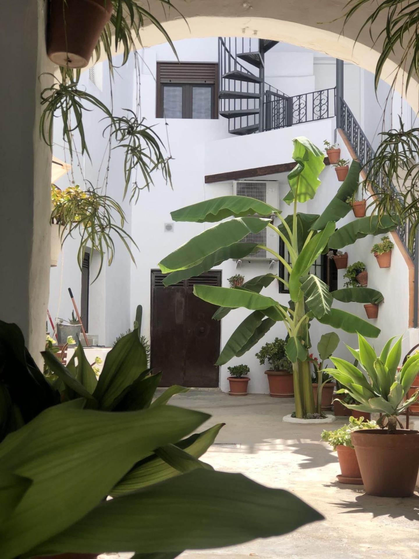 Loft La Abuela Apartment
